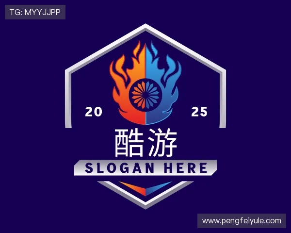 介绍酷游九州平台